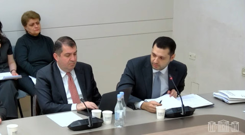 ԱԺ-ում քննարկվել է «Խոշոր կատվազգիների հարցերով միջազգային դաշինքի վերաբերյալ» շրջանակային համաձայնագիրը վավերացնելու հարցը