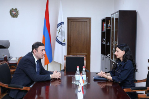 Անահիտ Մանասյանը և Բաբկեն Թունյանը քննարկել են գործարարության ոլորտում իրավունքների պաշտպանությանն առնչվող հարցեր