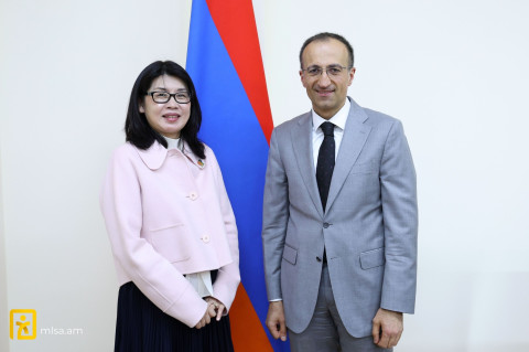 Արսեն Թորոսյանի և Կաորի Իշիկավայի հանդիպմանը ներկայացվել են ՄԱԿ-ի կանանց հարցերով կազմակերպության առաջիկա նախաձեռնությունները