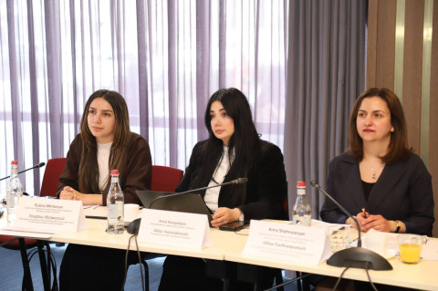 ԵԽ գործընկերների հետ քննարկվել է ՄԻԵԴ-ի վճիռների կատարման ընթացքը