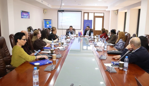 Աշխատաժողովի շրջանակում ներկայացվել են վիզաների ազատականացման գործընթացի դինամիկան և առանցքային բարեփոխումները