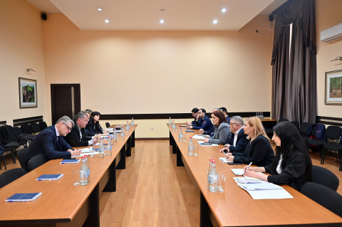 ԵՄ փորձագետների հետ ՊԵԿ-ում քննարկվել են սահմանային կառավարման հարցեր