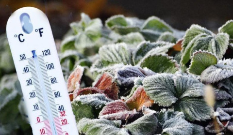 Երևանում օդի ջերմաստիճանը կնվազի մինչև -1°C․ ՇՄՆ