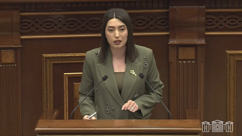Հանրային զրո հանդուրժողականություն պետք է ունենանք քրեական ենթամշակույթի նկատմամբ. ՆԳ նախարար