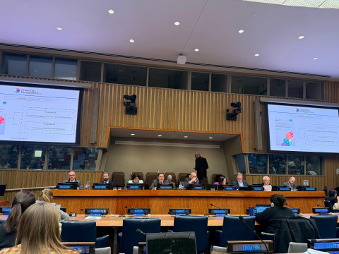 At New York forum, issues related to global financing framework, international trade, private sector, and role of financing discussed