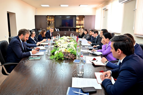 Էդուարդ Հակոբյանը և Էլիզաբետտա Ֆալչետին քննարկել են ժամանակակից մաքսային լաբորատորիայի ներդրման ուղղությամբ իրականացվող աշխատանքները