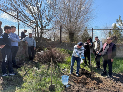 Էկոնոմիկայի նախարարության և ԱԶԲ-ի համատեղ ծրագրով շարունակվում են տնկիների տրամադրման և ծառատնկման աշխատանքները