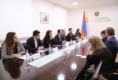 Հայաստանը և ԱՄՆ-ը քննարկել են որդեգրման ոլորտում համագործակցության խորացման հարցեր