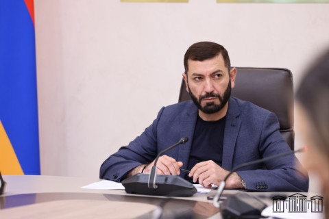 Ընտանեկան և կենցաղային բռնության ենթարկված անձանց պաշտպանության շրջանակում առաջարկվում է ռեաբիլիտացիոն ծրագիր իրականացնել