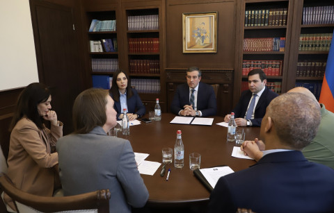 ԲԴԽ նախագահը ԵԽ գործընկերների հետ քննարկել է առաջիկա անելիքները