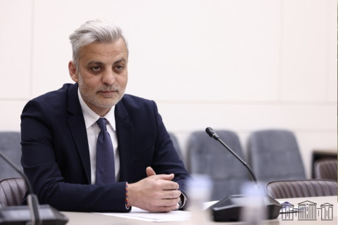 Առաջարկվում է տարանջատել «մշակութային կազմակերպություն» և «մշակութային ոչ առևտրային կազմակերպություն» հասկացությունները