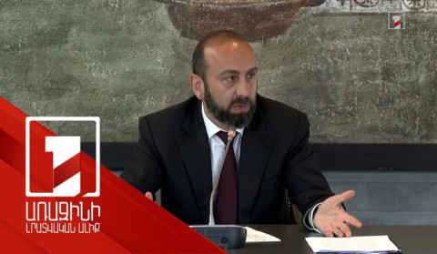 ԹՐԻՓՓ-ի հետ կապված որևէ ընկերության հետ դեռ պայմանավորվածություն չկա․ Միրզոյան