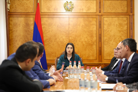 ՆԳ նախարարի գլխավորությամբ կայացել է թմրամիջոցների ապօրինի շրջանառության դեմ պայքարի ռազմավարության մշտադիտարկման միջգերատեսչական խորհրդի նիստը