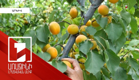 Պետաջակցության ծրագրերը նպաստել են գյուղվարկերի ծավալի աննախադեպ աճին