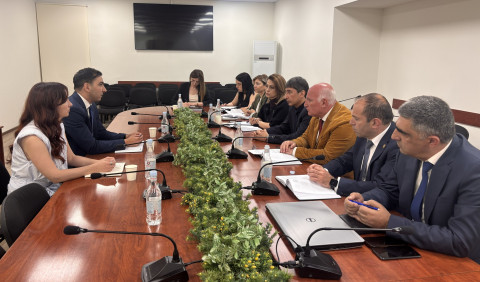 ՀԾԿՀ-ն և շվեյցարական Helvetas-ը քննարկել են էներգետիկ ոլորտում համագործակցության հնարավորությունները