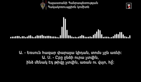 «Ուժեղ Հայաստանի» կողմնակիցը ընտրակաշառք է առաջարկել արտերկրից ՀՀ գալու և քվեարկելու համար