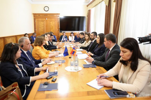 Կարևորվել է ԱԺ հերթական ընտրությունների ընթացքում միջազգային դիտորդական առաքելությունների դերը