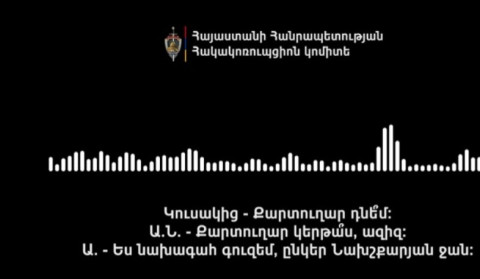 Պատգամավորի թեկնածուն ժողովրդավարական գործընթացների նկատմամբ վստահության ապահովմանը միտված ինստիտուցիոնալ երաշխիքը ծառայեցրել է իր քաղաքական շահերին