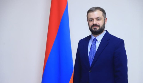 Պապոյանը՝ Էլեկտրաշարժիչով մեքենաների քվոտայի մնացորդի մասին
