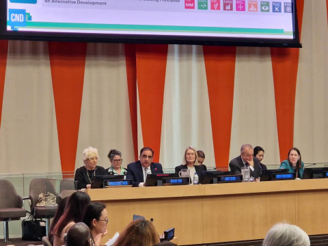 Անդրանիկ Հովհաննիսյանը ECOSOC-ում ներկայացրել է Թմրամիջոցների հարցերով հանձնաժողովի աշխատանքները
