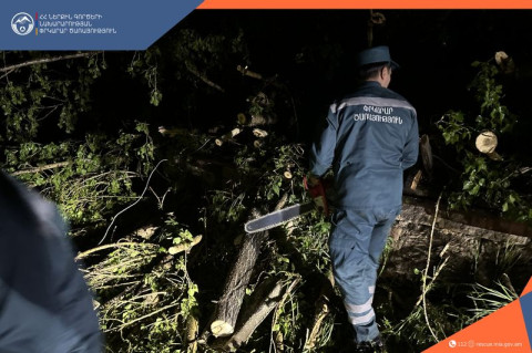 Փրկարարներն արձագանքել են քամու վերաբերյալ ստացված բոլոր ահազանգերին
