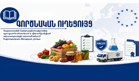 Արտահանում դեպի ԵՄ․ գործնական ուղեցույց