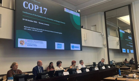 Երևանում անցկացվելիք COP17-ի նախապատրաստական աշխատանքները ներկայացվել են Ժնևում