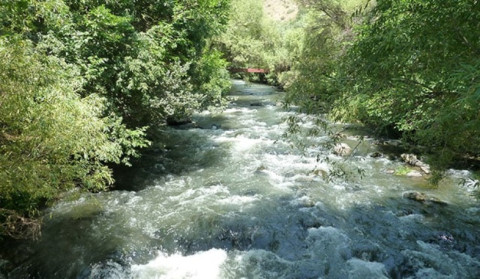 Փամբակ գետում դի է հայտնաբերվել