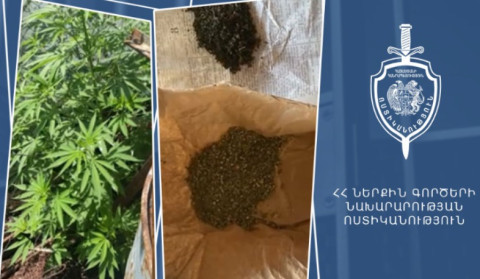 Ոստիկանները 59-ամյա տղամարդու բակում հայտնաբերել են մշակված կանեփի 107 թուփ, նաև՝ 70 գրամ մարիխուանա