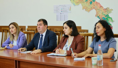 Շրջակա միջավայրի նախարարությունում քննարկվել են Ռաուլ Վալենբերգի ինստիտուտի հետ համագործակցության նոր ուղղությունները