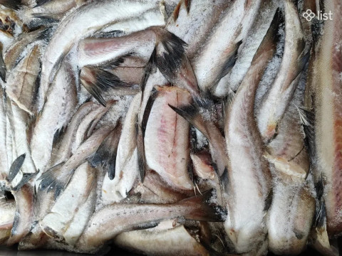 Կառավարությունը հաստատեց ՀՀ-ից ԵՄ երկրներ ձկան կամ ձկնամթերքի արտահանման նպատակով տնտեսվարող սուբյեկտի գրանցման, գրանցումը դադարեցնելու և առողջության սերտիֆիկատ տալու կարգը