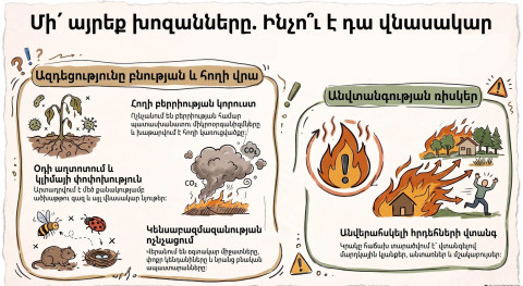 Մի՛ այրեք խոզանները. ՇՄՆ-ի հորդորը