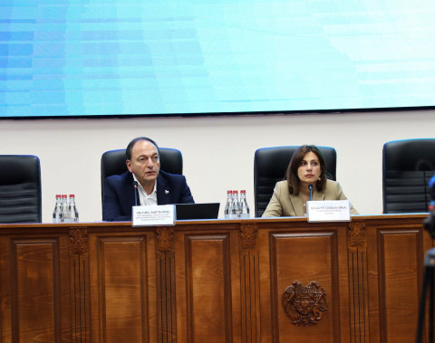Անահիտ Ավանեսյանը գործատուների հետ քննարկել է 200000 դրամից պակաս աշխատավարձ ստացող աշխատողներին առողջության ապահովագրության համակարգ ընդգրկելու ընթացակարգը