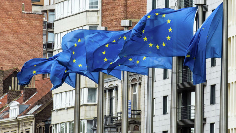 Some EU countries demand end to 'obstructive' vetoes on foreign policy