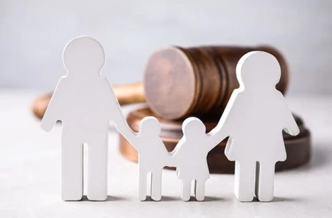 Կգործի միջազգային չափորոշիչներին համապատասխան որդեգրման մեկ իրավական ակտ, որը կբխի երեխայի լավագույն շահերից