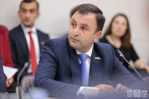 Արգիշտի Դարբինյանն ընտրվել է Տնտեսական հարցերի մշտական հանձնաժողովի նախագահի տեղակալ