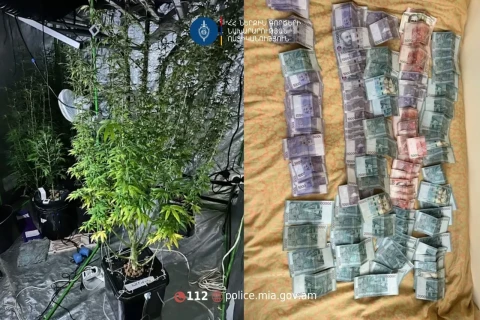 Քրեական ոստիկանների բացահայտումը․ ննջասենյակը վերածել էին կանեփի աճեցման ջերմոցի