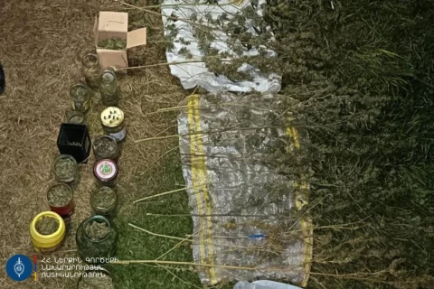 Ստեփանավանի համայնքային ոստիկանները թմրամիջոց պատրաստելու և օգտագործելու դեպք են բացահայտել․ նախաձեռնվել է քրեական վարույթ