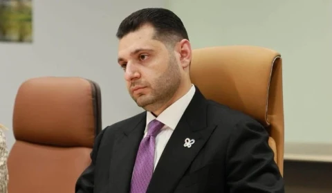 Քննարկվել են կենսաբազմազանության պահպանության ոլորտում ԱՄԷ-ի հետ համագործակցության ընդլայնման հնարավորությունները