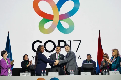 Ընտրվեցի COP17-ի նախագահ. Համբարձում Մաթևոսյան