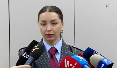ԵԱՏՄ անդամները չեն կարող կասեցնել Հայաստանի անդամակցությունը՝ առանց ՀՀ-ի ցանկության. Հասմիկ Հակոբյան