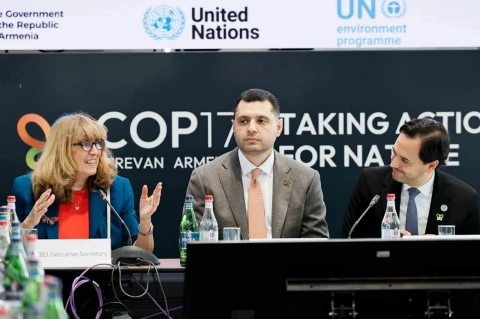 Մեր նախագահության ուղերձը հստակ է.  COP 17-ի նախագահի ելույթը