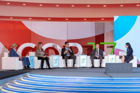 COP17-ի կանաչ գոտում քննարկվել է պահպանվող տարածքներում կապի ապահովման հարցը