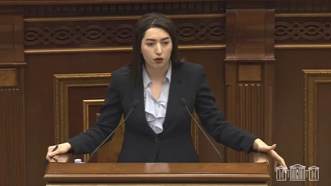 2026-ի առաջին կիսամյակում արձանագրվել է նույն անձանց միջև երկրորդ և ավելի անգամ բռնություն կիրառելու 230 դեպք. ՆԳ նախարարը մանրամասնում է