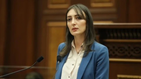 Շուշան Սարգսյանն ընտրվեց Մրցակցության և սպառողների շահերի պաշտպանության հանձնաժողովի անդամ