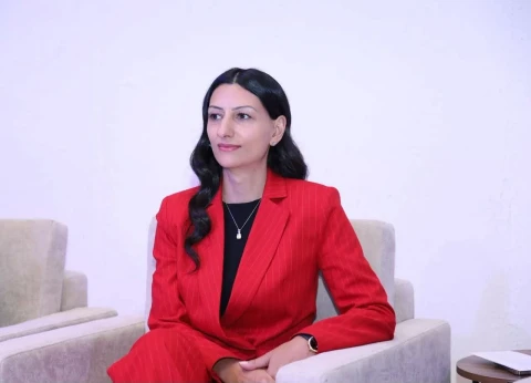 Human Rights Defender calls for exclusion of language that labels and targets national or ethnic groups from public discourse