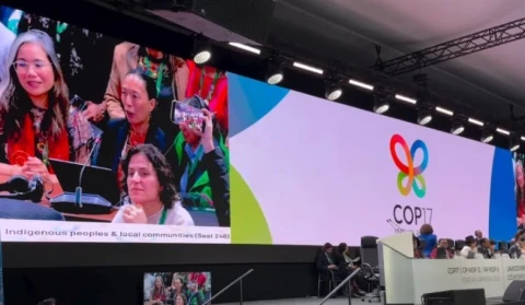COP17-ում ընդունվել է պատմական որոշում․ Համբարձում Մաթևոսյան