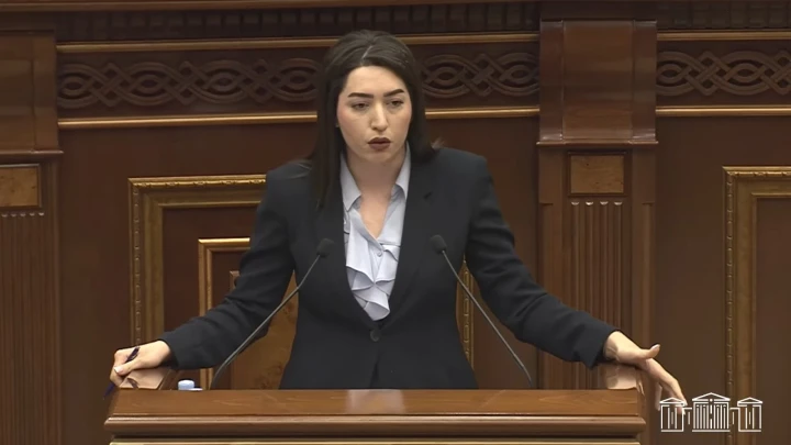 2026-ի առաջին կիսամյակում արձանագրվել է նույն անձանց միջև երկրորդ և ավելի անգամ բռնություն կիրառելու 230 դեպք. ՆԳ նախարարը մանրամասնում է